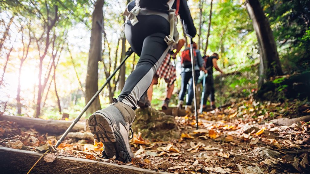 Trail walking shoes vs hiking boots which is right for you? Advnture