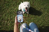 CASETiFY pets collection