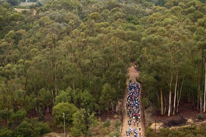 The peloton