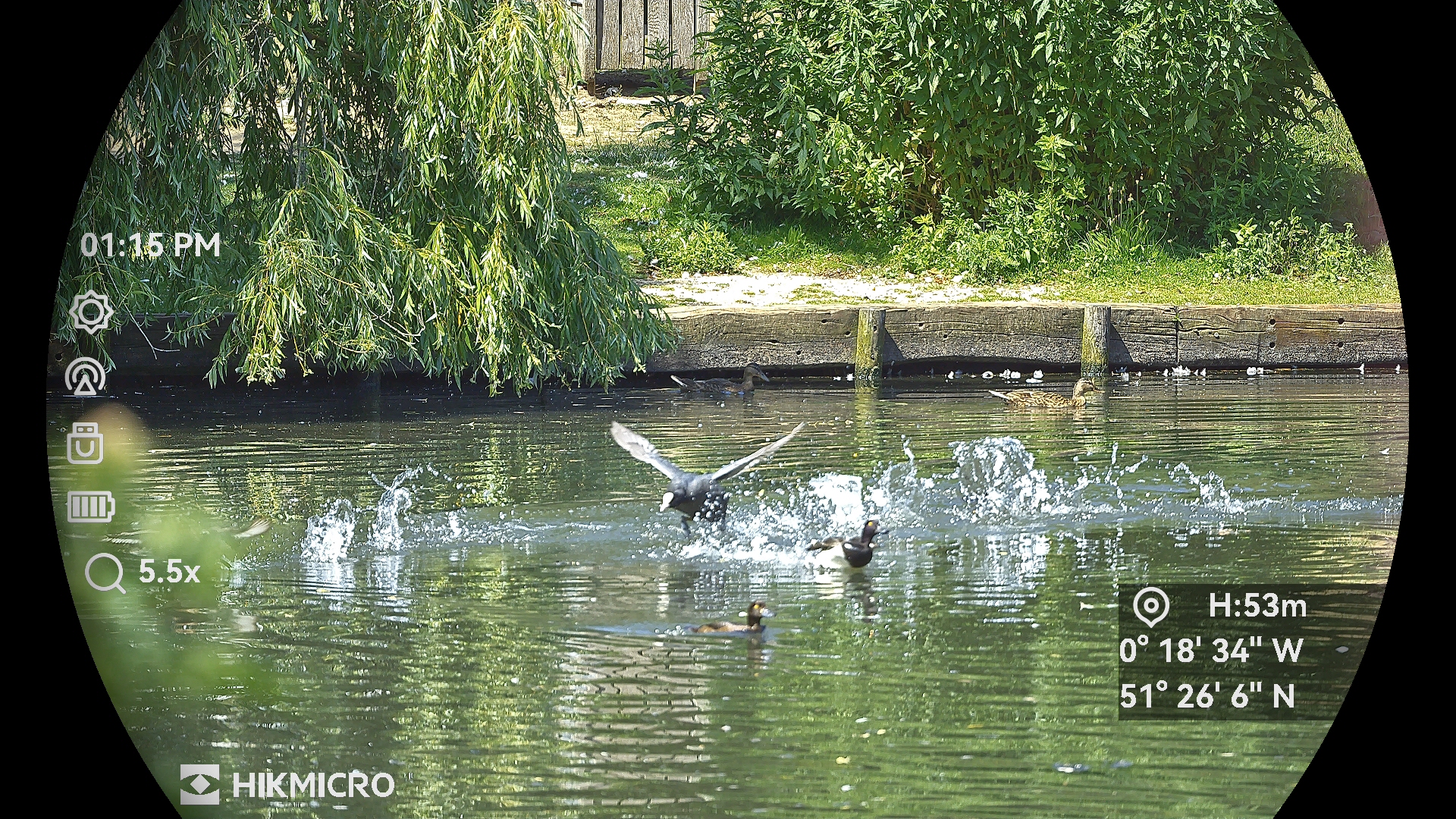 Images taken through a pair of HikMicro Habrok 4K HE25L binoculars