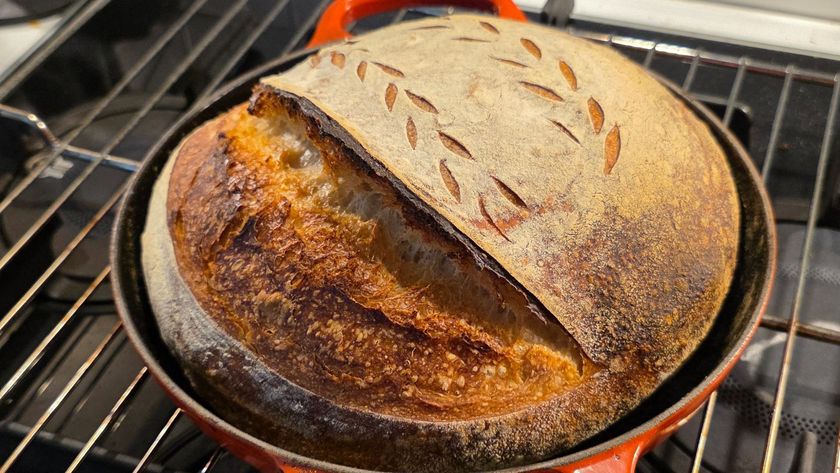 Homemade sourdough loaf