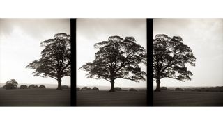 Three consecutive frames taken with a Mercury II half-frame camera