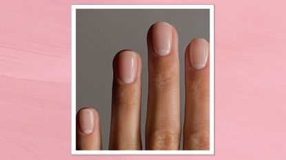 Hand with short squoval shape nails and a subtle French tip manicure 