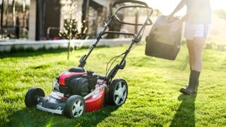 Grass clippings being emptied from a red lawn mower