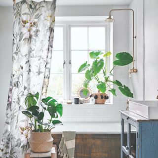 bathroom with shower curtain and plant in window