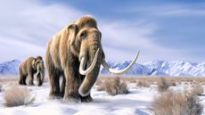 An illustration of woolly mammoths in an open field