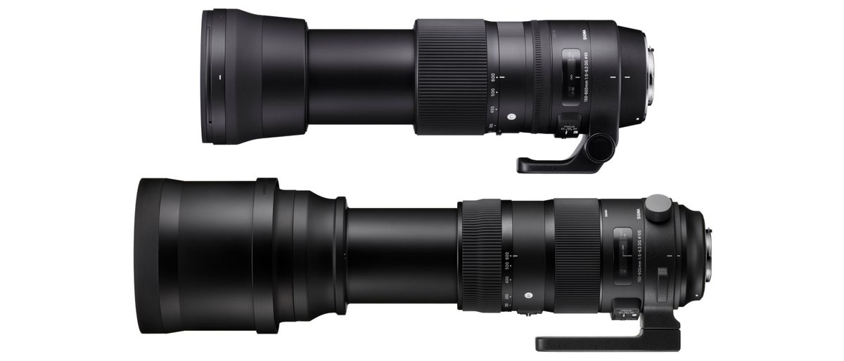 Sigma 150-600 Contemporary vs Sports