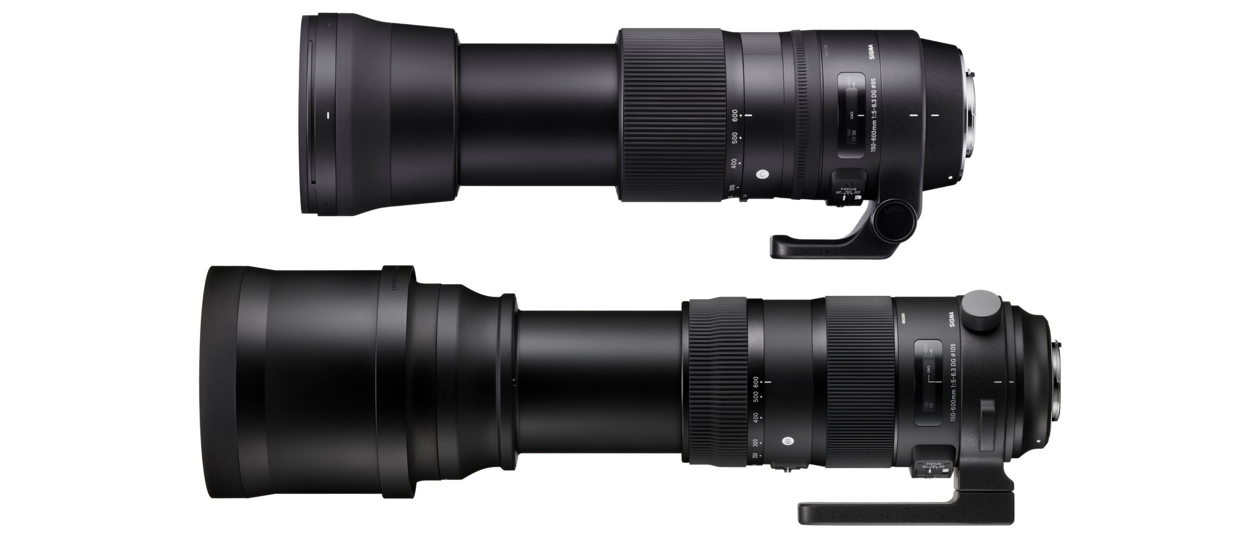 Sigma 150-600 Contemporary vs Sports: let us explain the