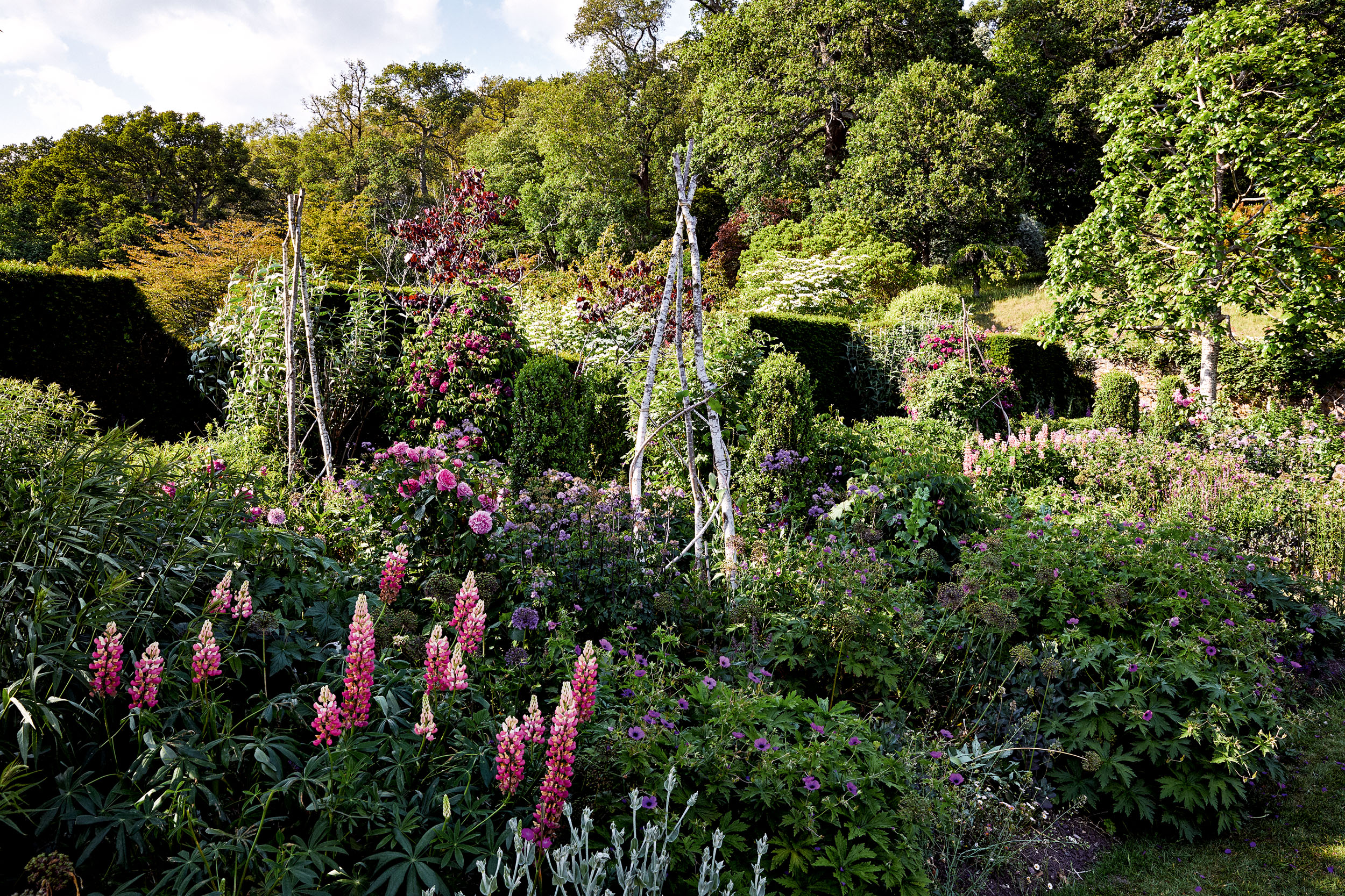 The garden at Fonthill House, Wiltshire