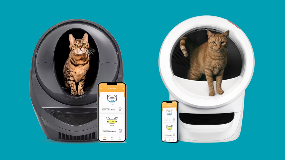 The Litter-Robot 3 vs 4 cut out onto a teal blue background