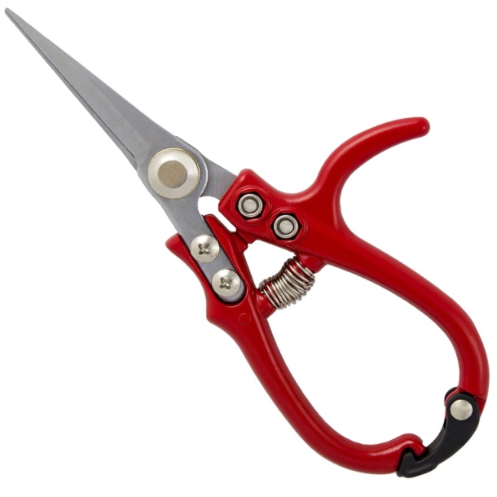 Darlac Ergo Gardening Snips for Houseplants and Flower Arranging, High Carbon Steel Blade, Red
