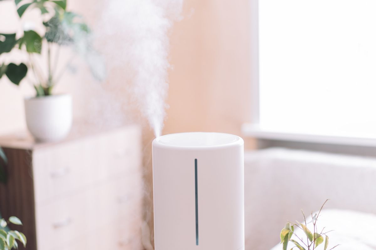 Humidifier Vs Dehumidifier — We Explain The Difference Between These ...