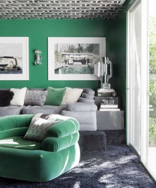 green and black living room with green chair and fluffy carpets