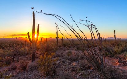 New Mexico