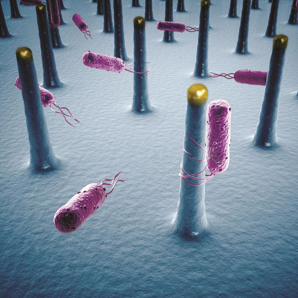 Artist&#039;s conception of bacteria