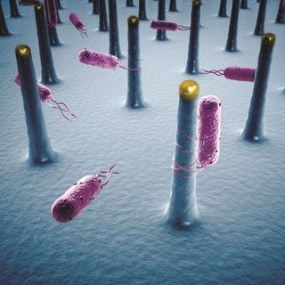 Artist's conception of bacteria