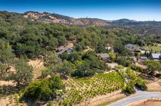 luxury sonoma vineyard property listed by Sotheby's and Carol Sebastiani