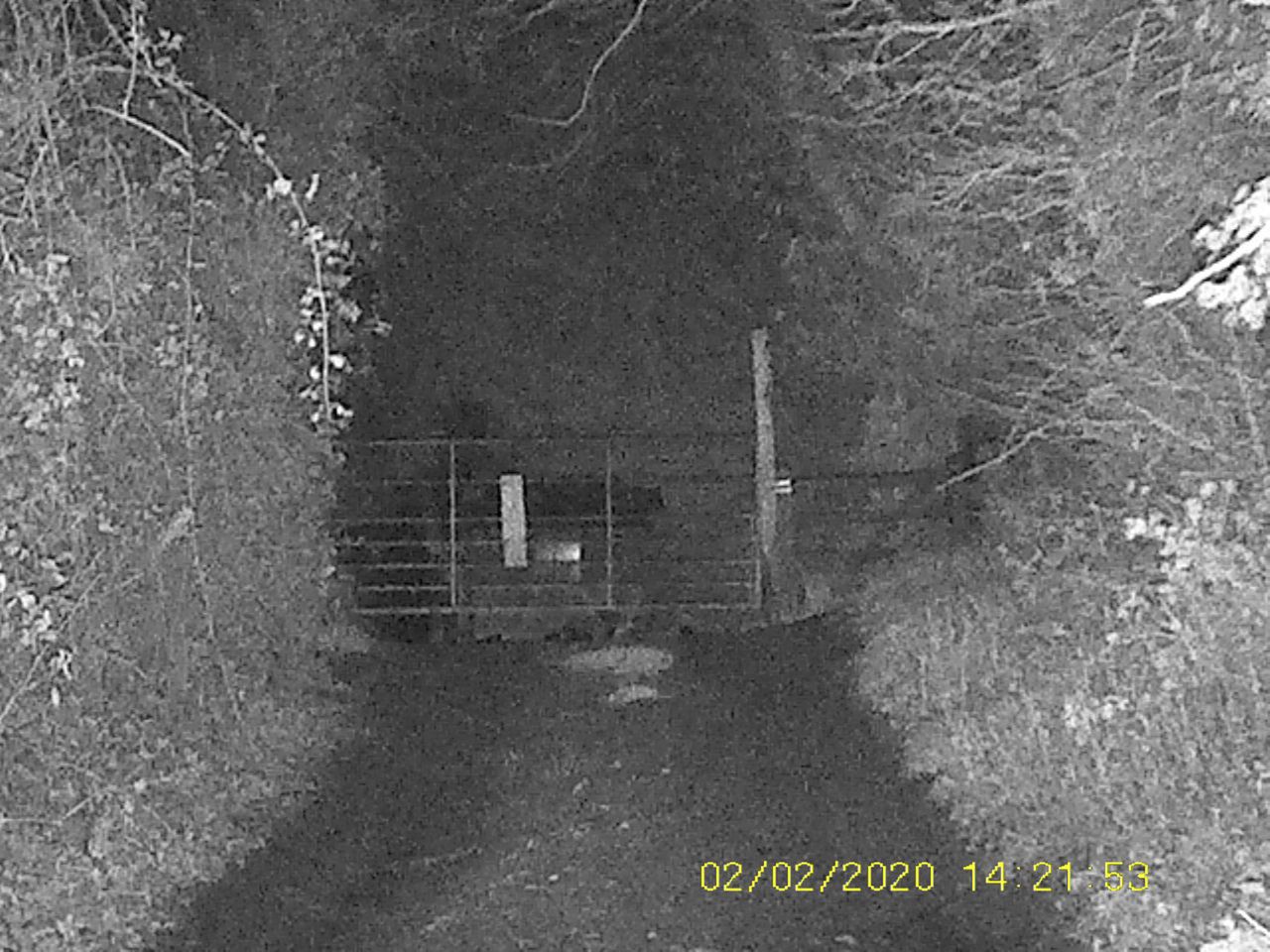 Sample images from the Rexing B1 Basic