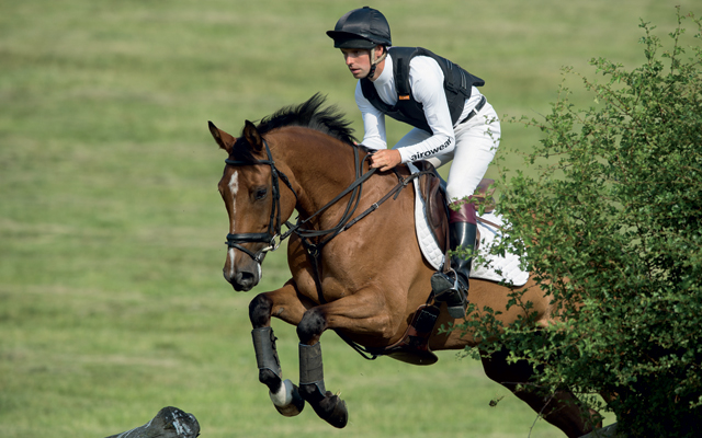 Harry-Meade