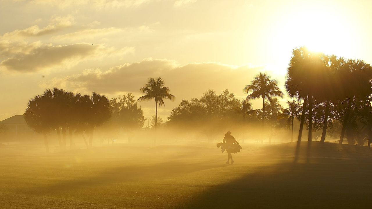 secret tour caddie