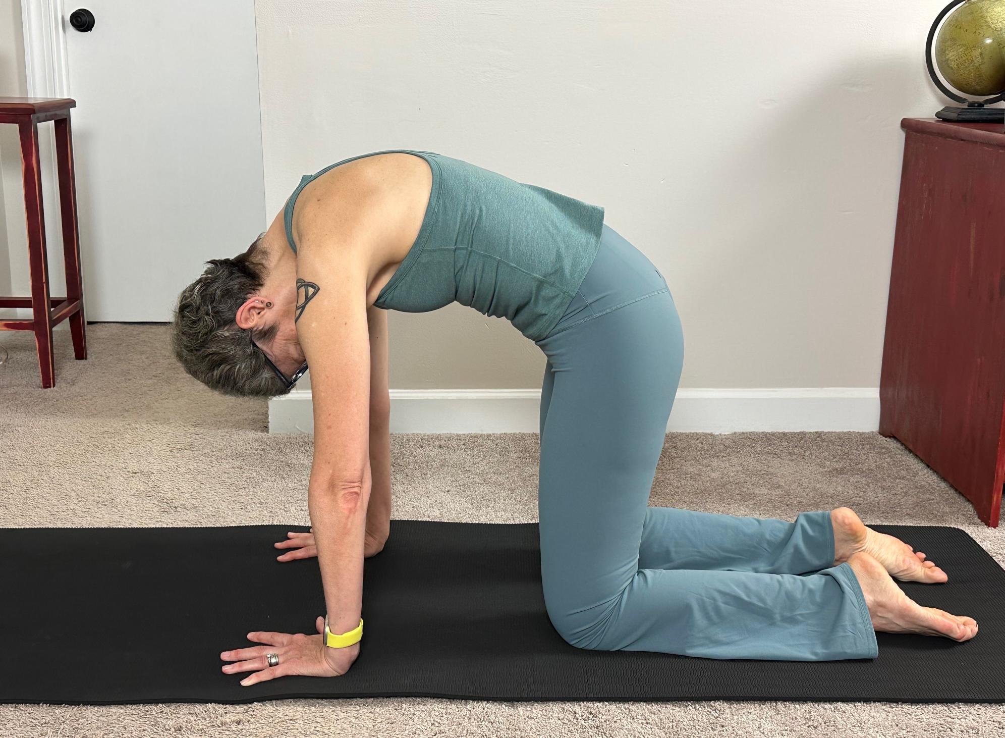 woman wearing blue vest and leggings performing cat cow yoga pose
