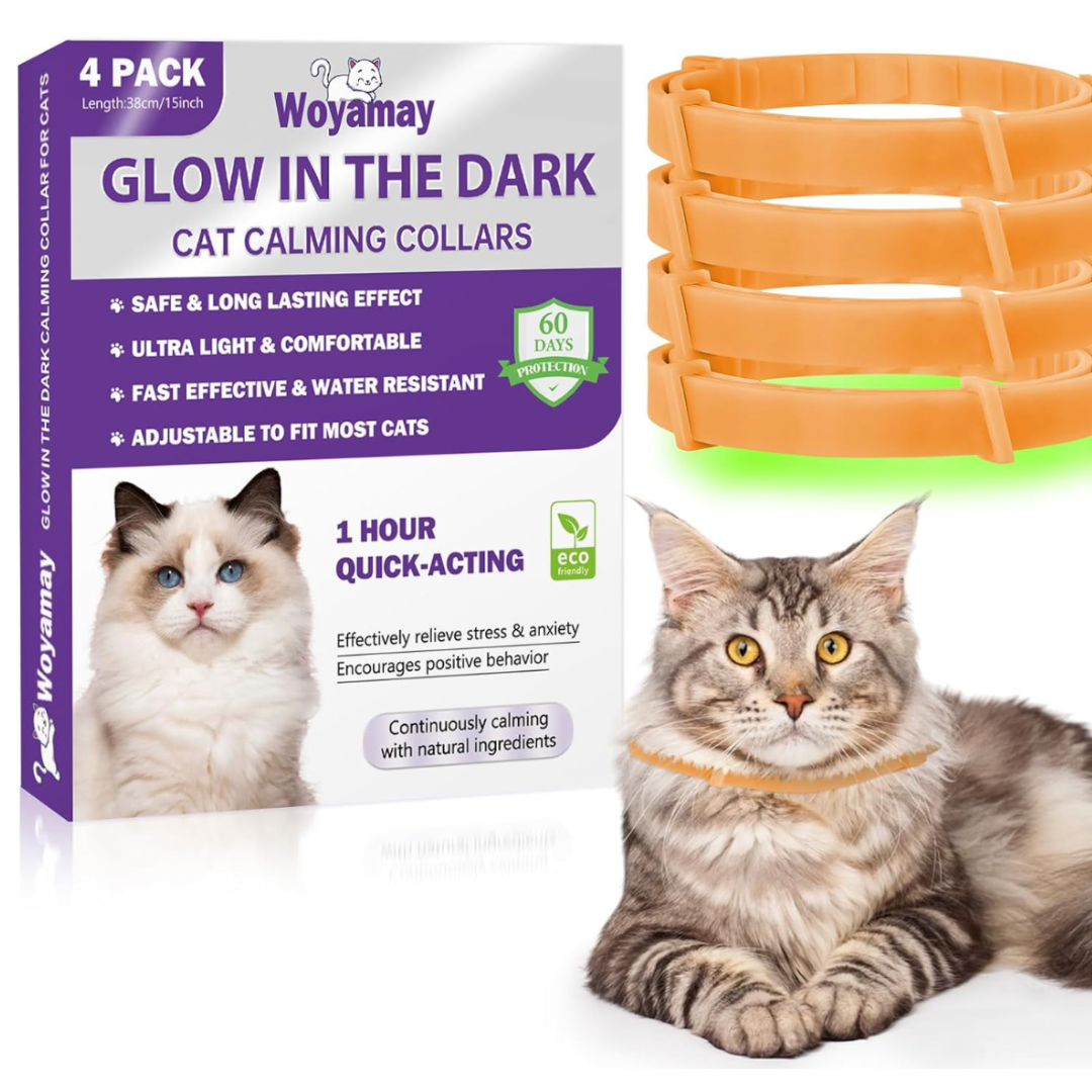 Will a Calming Collar Work for a Cat? What Science Says (Vet-Verified) - Purrfectly Calm Cat Collar
