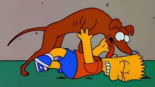 Santa's Little Helper jumping on Bart and licking him in The Simpsons