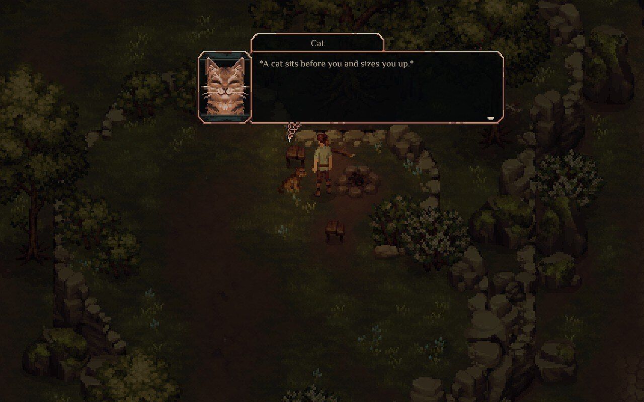 Drova screenshots