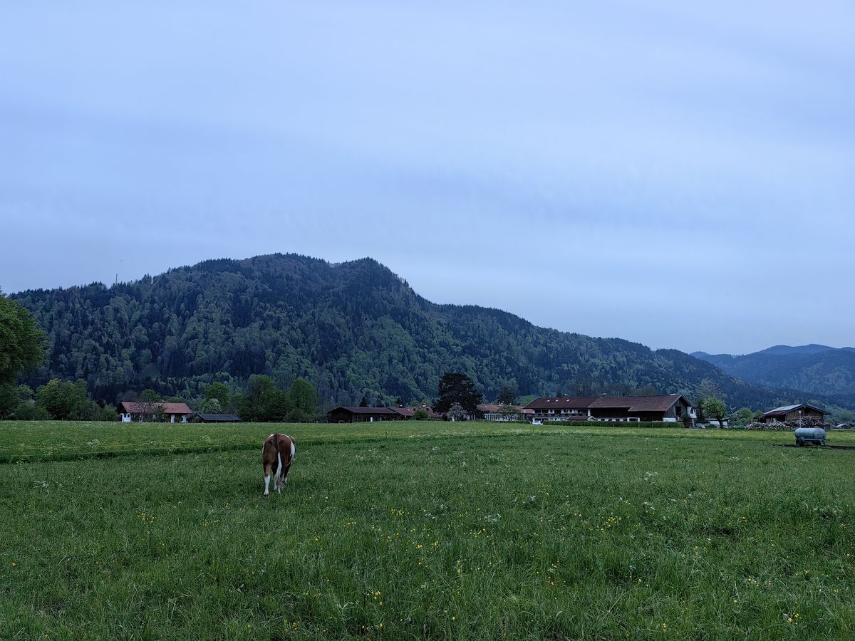 Huawei P60 Pro