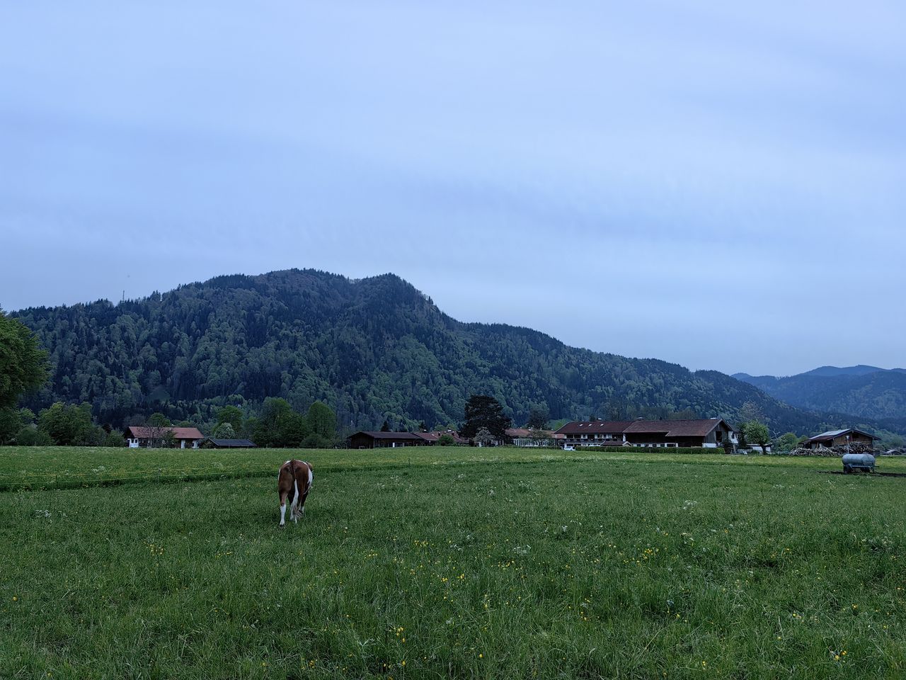 Huawei P60 Pro
