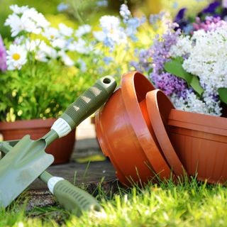 Flowering plants in plastic pots beside trowel in garden