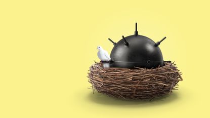 Illustration of a white dove nesting on a sea mine