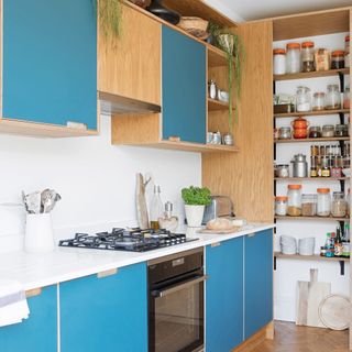 kitchen with blue cabinets and walk-in pantry storage