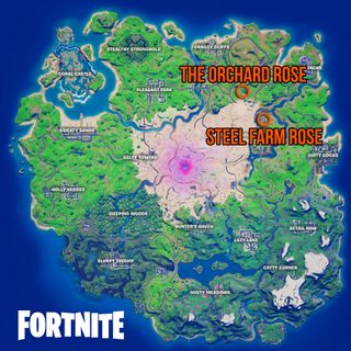 Fortnite Rose locations map