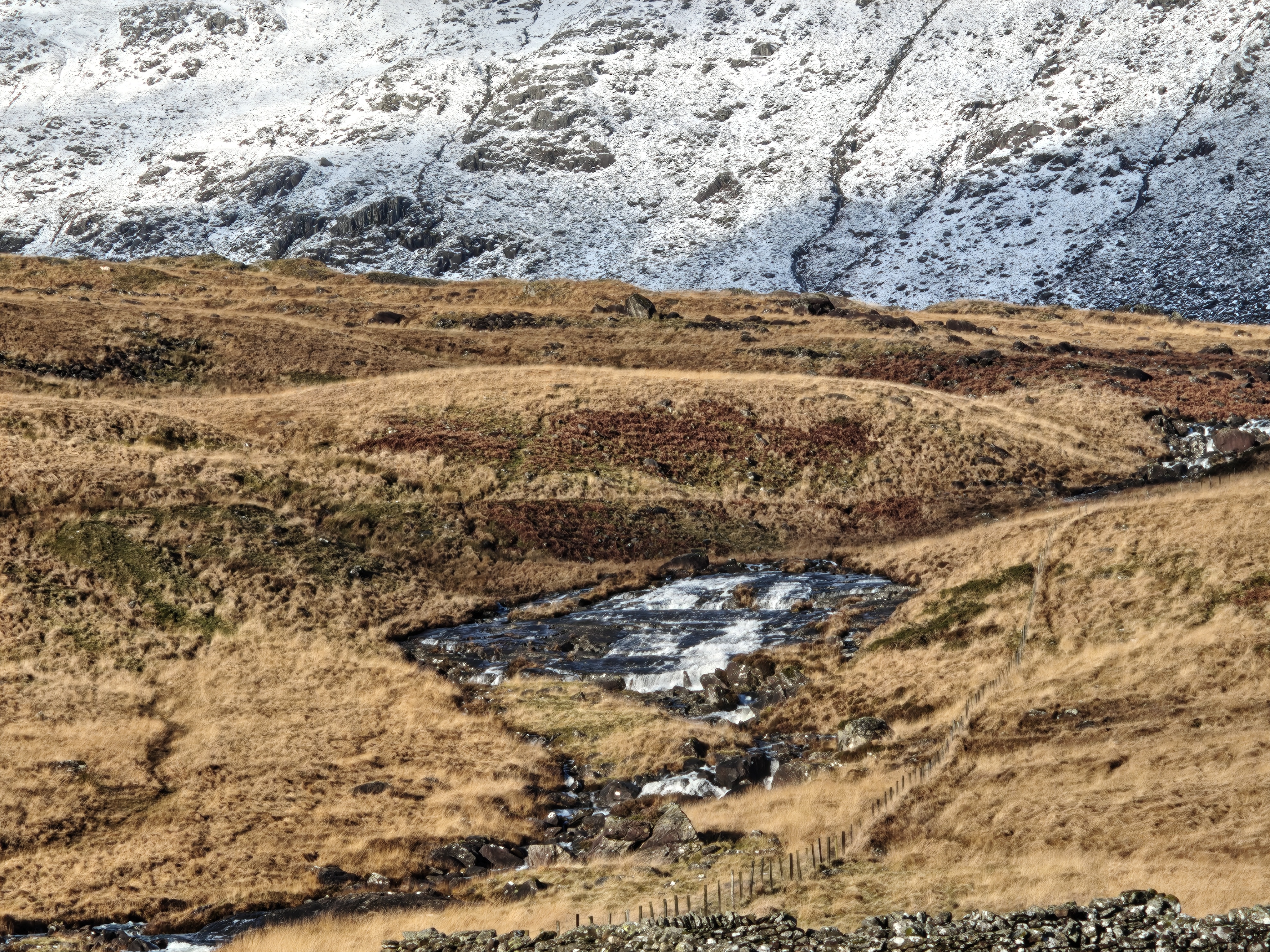 A camera sample captured on the Nothing Phone 3.