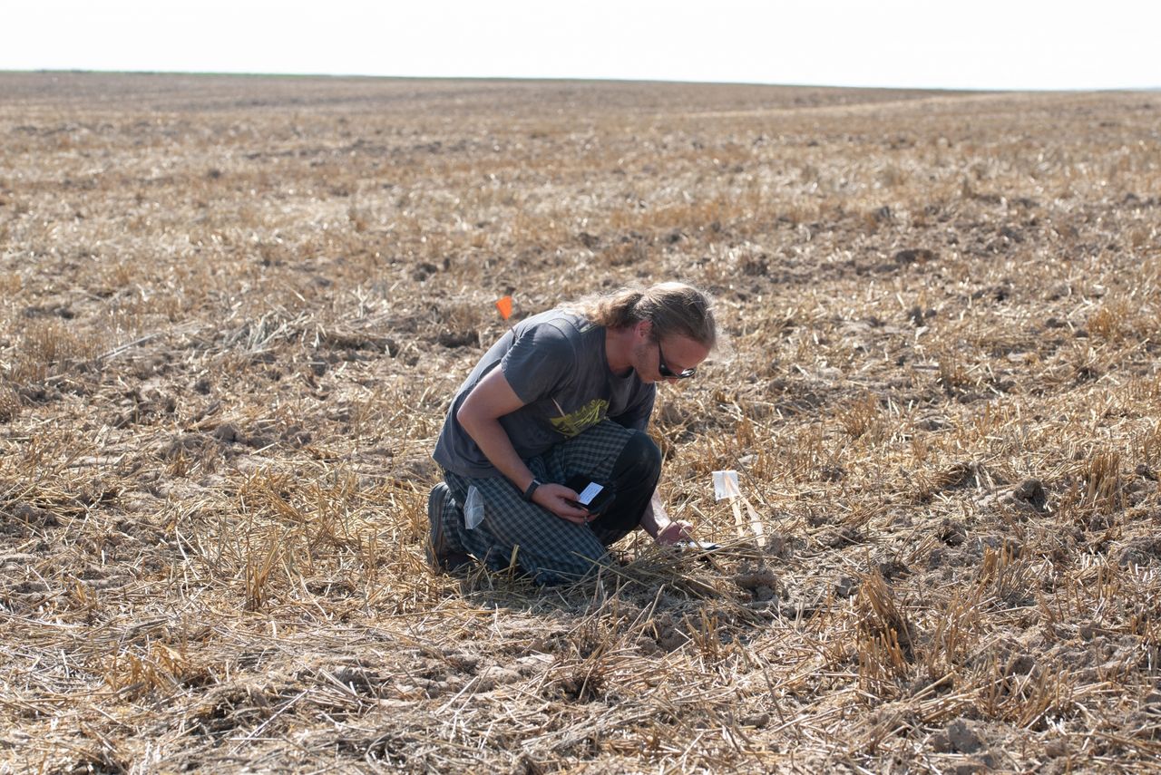 an archaeologist leans over an excavation site in a field
