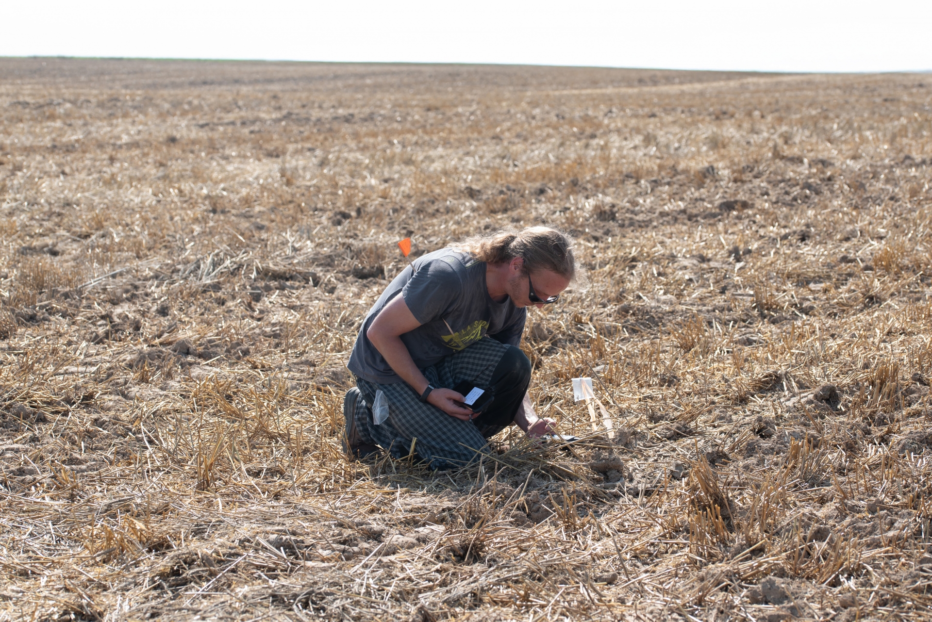 an archaeologist leans over an excavation site in a field