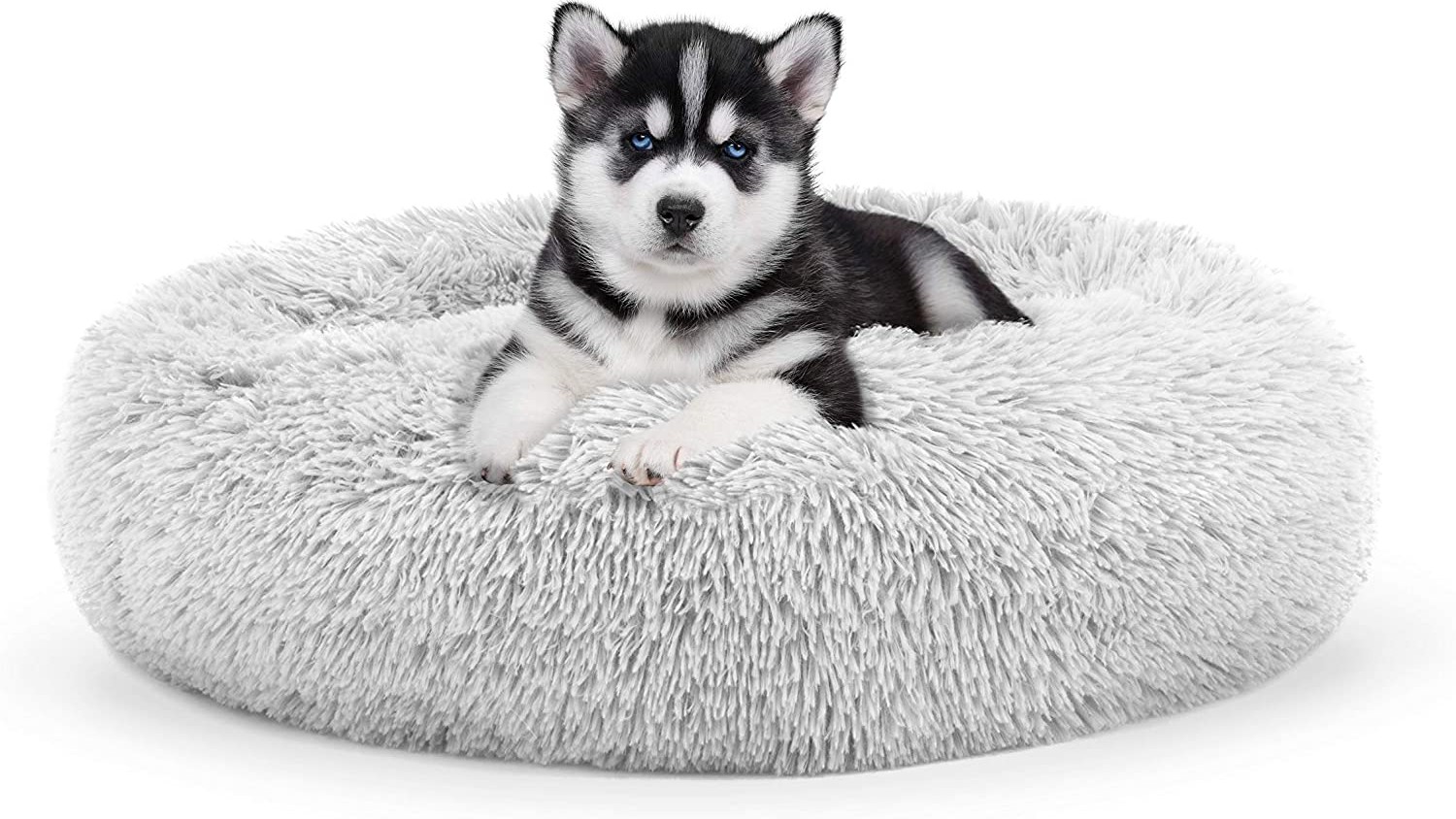 10 Types Of Dog Beds Explained: Which One Is Best For Your Pooch ...