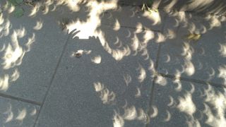 The shadow of a woman is reflected on the sidewalk as she takes a photo of the eclipse cast through tree leaves on the sidewalk August 21, 2017 in downtown Washington, DC.