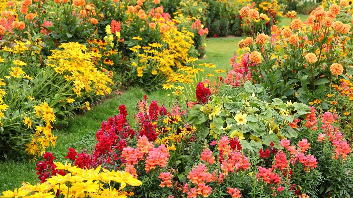 7 Garden Rules You Can Safely Break Once Mid-August Hits