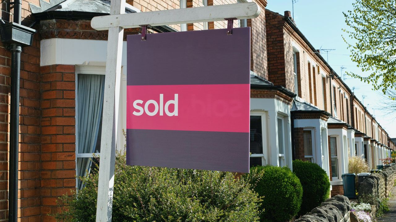 Houses on street with for sale sign