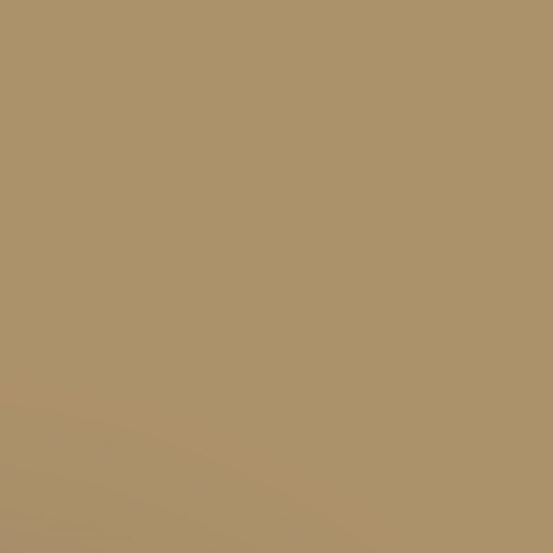 caramel paint swatch