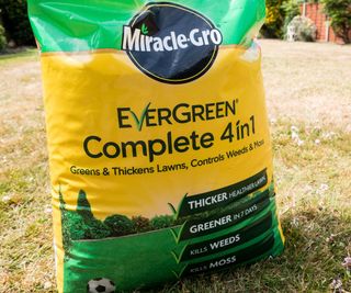 Miracle Gro Evergreen 4 in 1 lawn feed bag on lawn