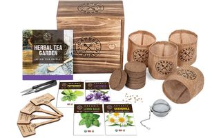 Best tea gifts