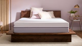 Image shows the Purple Plus mattress on a dark wooden bed frame placed in a light purple color bedroom
