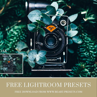 Best free Lightroom presets: BeArt presets