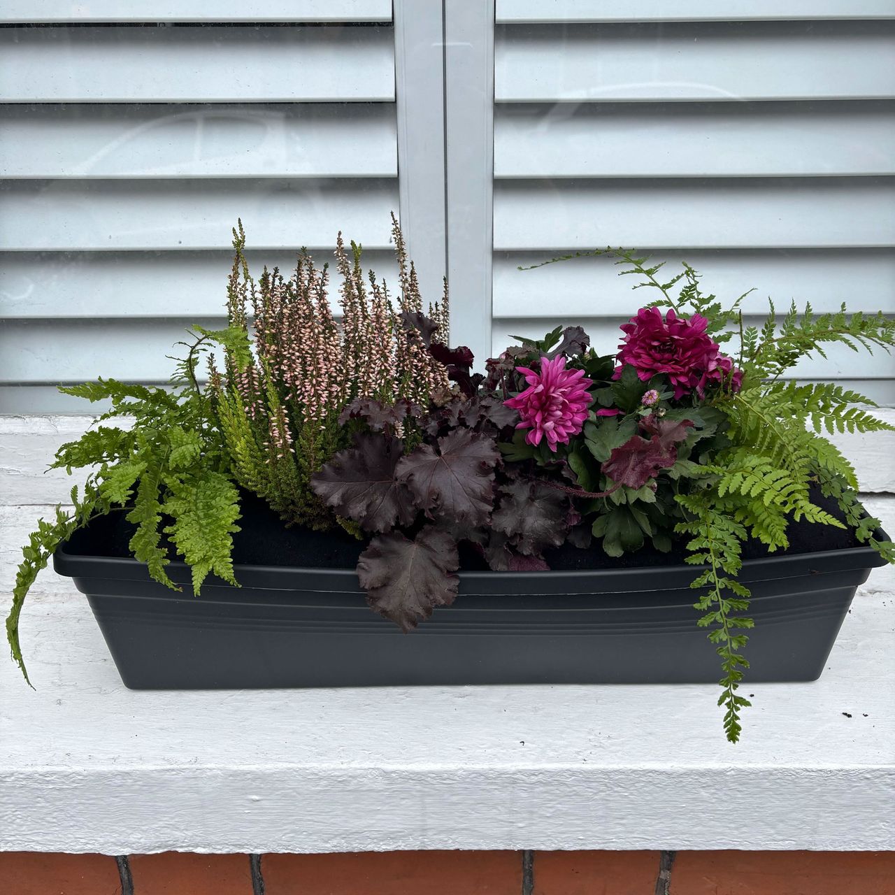 Window box with purple and green plants in