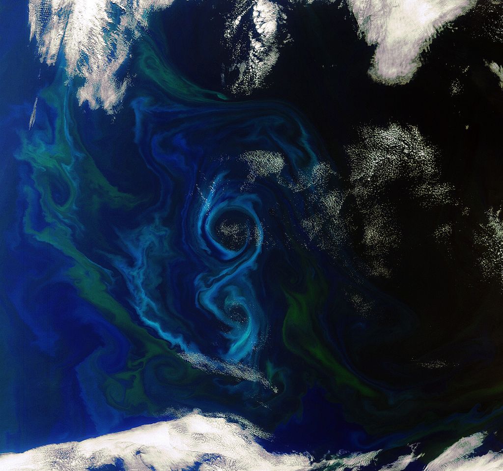Ocean's 8 Satellite Snaps Stunning Photo of Algae Bloom Space