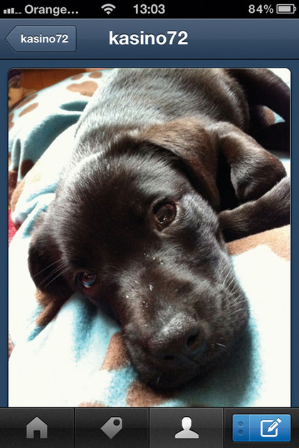 Tumblr