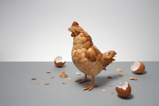 Kyle Bean made this eye-catching chicken sculpture entirely from egg shells.